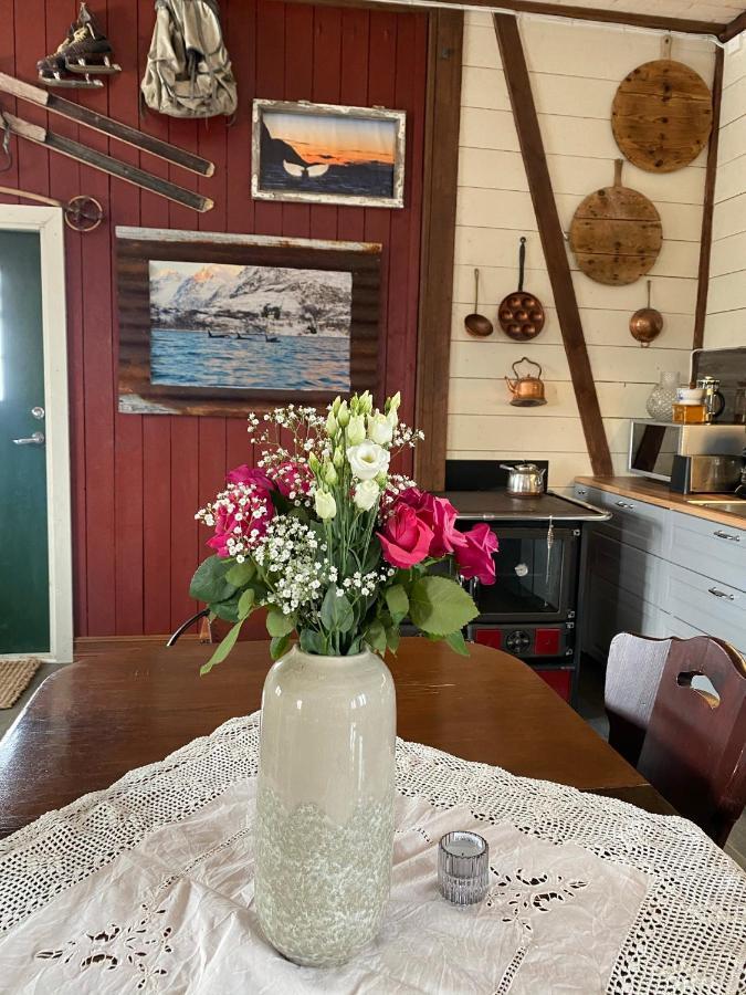 Kraemarvika Lodge Tromsø Dış mekan fotoğraf