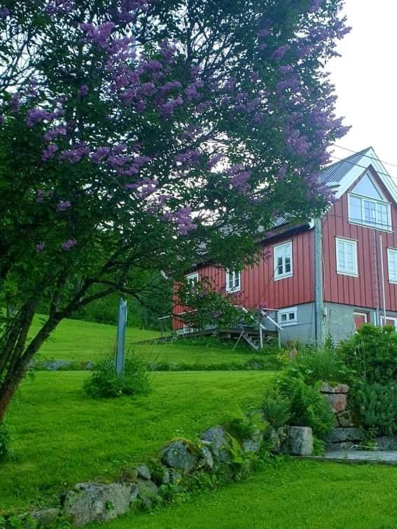 Kraemarvika Lodge Tromsø Dış mekan fotoğraf